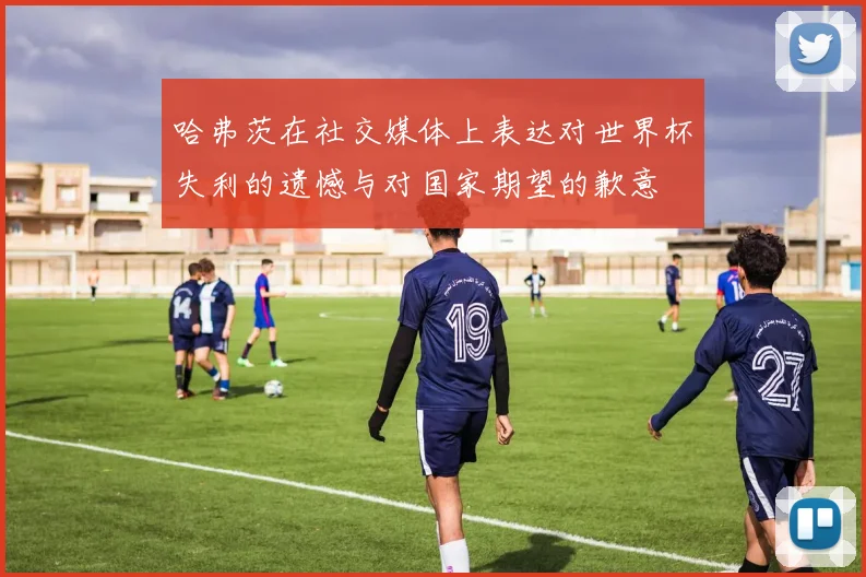 哈弗茨在社交媒体上表达对世界杯失利的遗憾与对国家期望的歉意