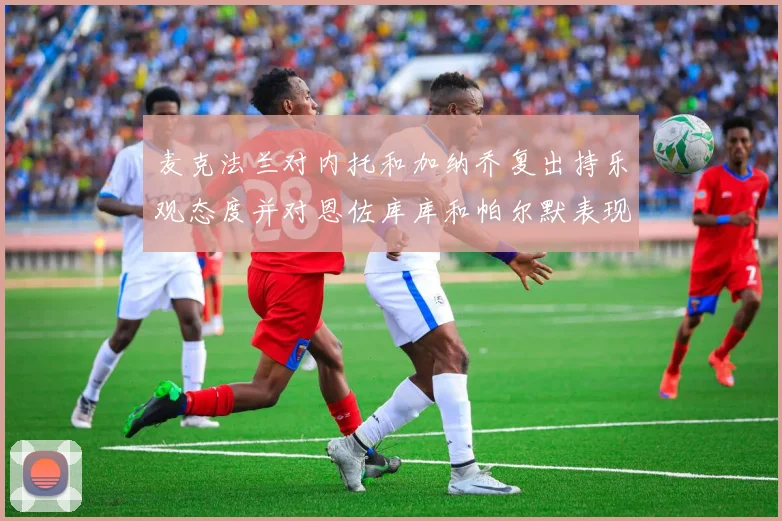 麦克法兰对内托和加纳乔复出持乐观态度并对恩佐库库和帕尔默表现表示满意