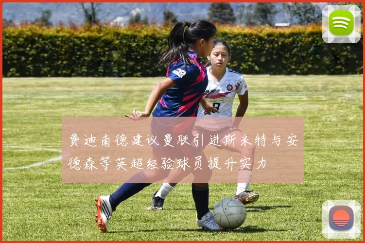 费迪南德建议曼联引进斯米特与安德森等英超经验球员提升实力